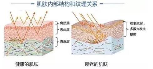 微整形培训之皮肤管理技术